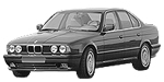 BMW E34 P0176 Fault Code